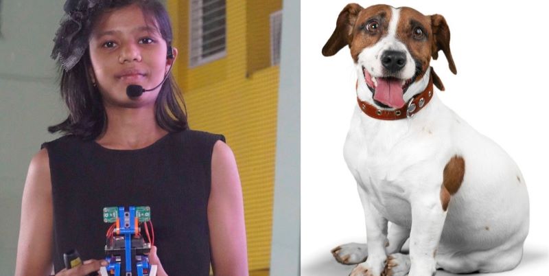 Robotic Pet That Doesnâ€™t Scare You!